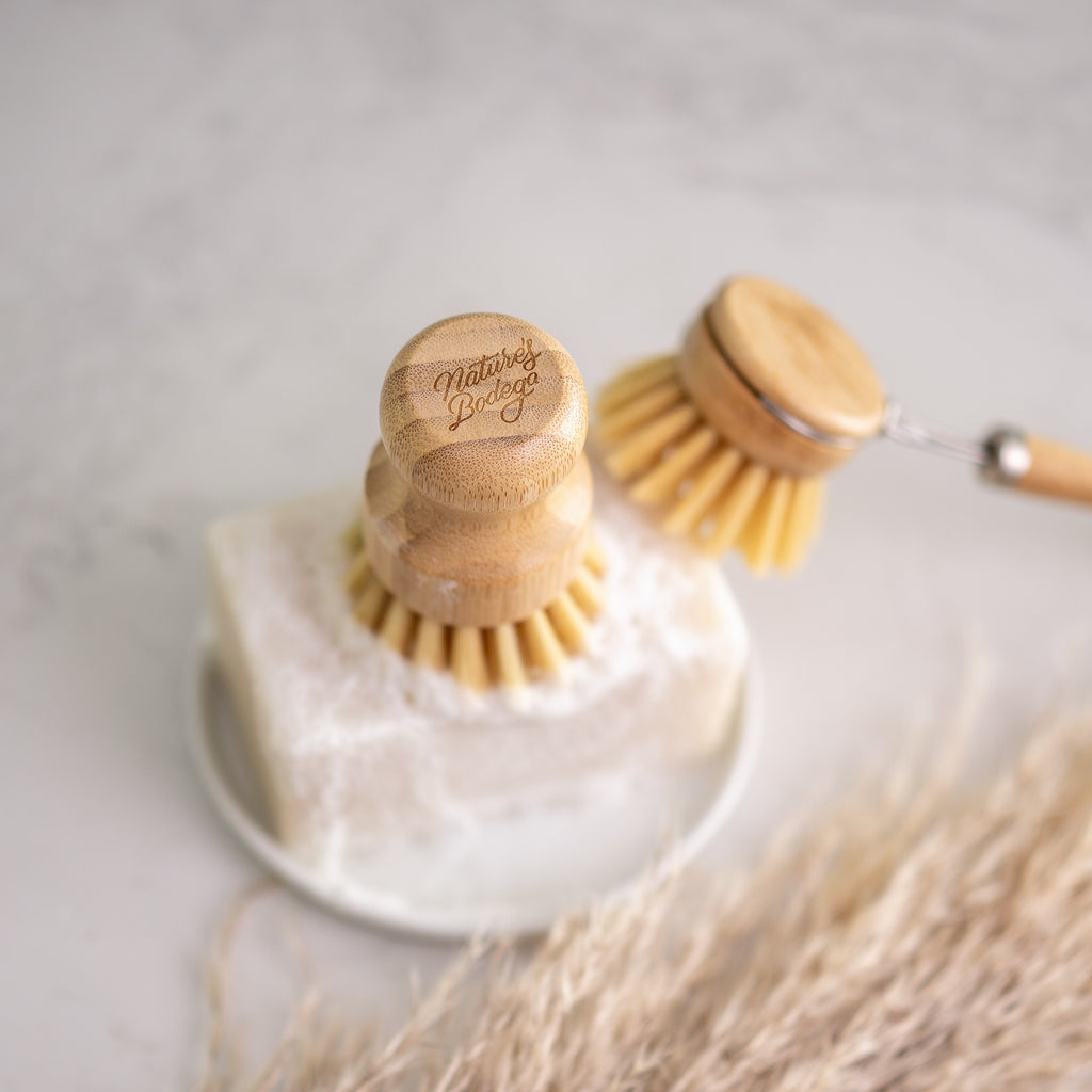 https://www.naturesbodega.com/cdn/shop/products/bamboo-scrubber-brush-dish-brush-pampas_1024x.jpg?v=1649799486